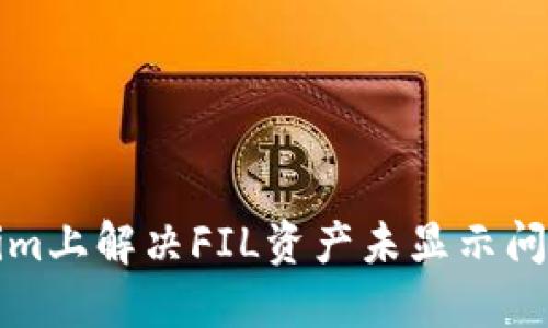 如何在Tokenim上解决FIL资产未显示问题的全面指南