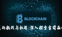 加密货币发展的挑战与机遇：深入探索当前面临