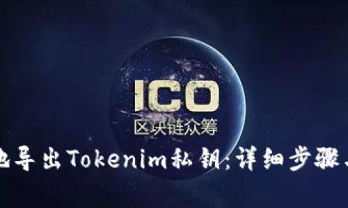 如何安全地导出Tokenim私钥：详细步骤与注意事项