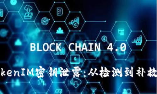 如何应对TokenIM密钥泄露：从检测到补救的全面指南