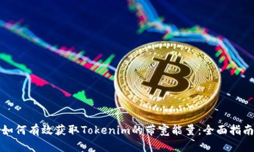 如何有效获取Tokenim的带宽能量：全面指南