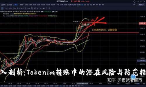 深入剖析：Tokenim转账中的潜在风险与防范措施