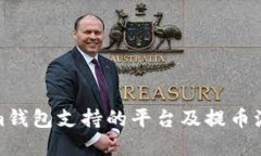 Tokenim钱包支持的平台及提币流程详解