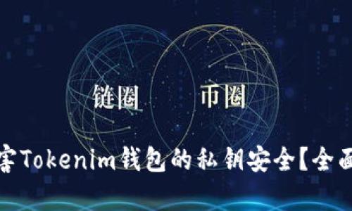 恶意软件如何危害Tokenim钱包的私钥安全？全面分析与防范措施