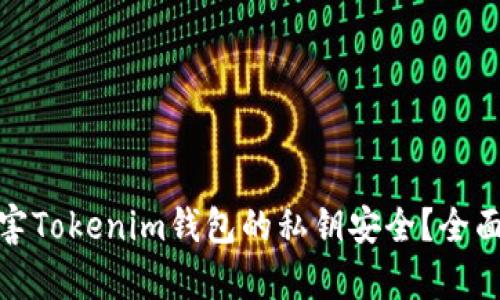 恶意软件如何危害Tokenim钱包的私钥安全？全面分析与防范措施
