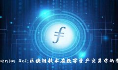 探秘Tokenim Sol：区块链技术在数字资产交易中的创