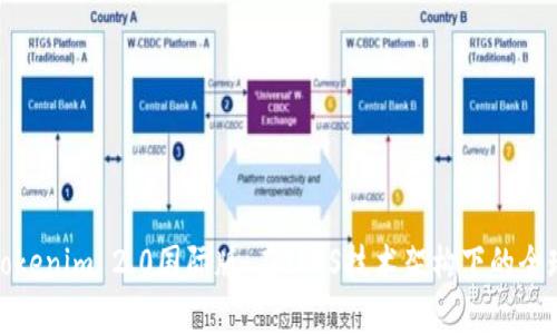 深入解析Tokenim 2.0国际版：在IPFS技术架构下的全球发展机遇