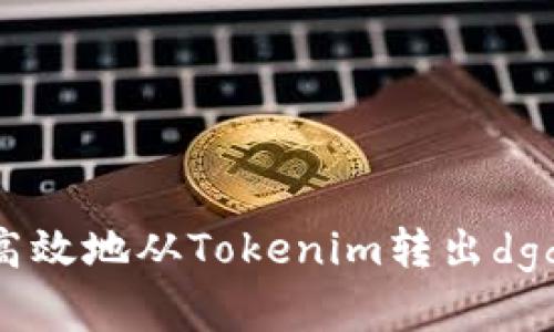 如何安全高效地从Tokenim转出dgd：完整指南