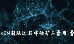 全面解析TokenIM转账过程中的矿工费用：费用构成