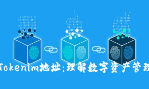 深入解析Tokenim地址：理解数字资产管理的新维度