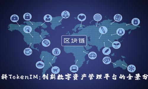 盈科TokenIM：创新数字资产管理平台的全景分析