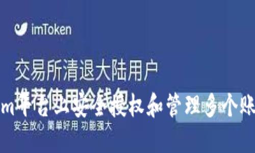 如何在Tokenim平台上安全授权和管理多个账户的操作指南
