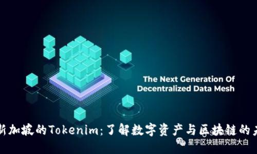 在新加坡的Tokenim：了解数字资产与区块链的未来