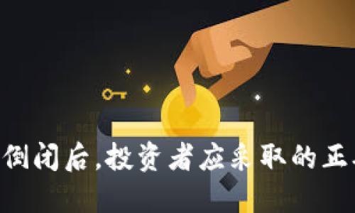 在Tokenim倒闭后，投资者应采取的正确应对策略