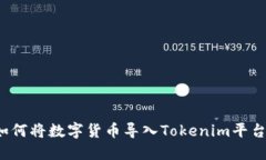 详尽指南：如何将数字货币导入Tokenim平台并开始