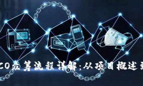 Tokenim钱包ICO众筹流程详解：从项目概述到投资注意事项