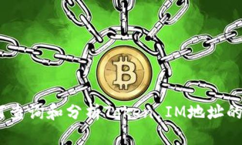 探秘：如何查询和分析Token IM地址的交易记录