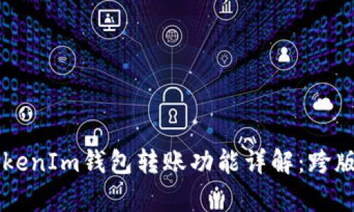 不同版本的TokenIm钱包转账功能详解：跨版本兼容性分析
