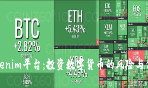 探索Tokenim平台：投资数字货币的风险与保障分析