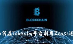 解密ZEC：如何在Tokenim平台利用Zcash进行高效交易