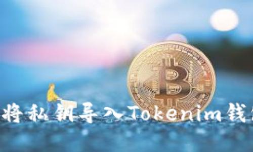 如何安全地将私钥导入Tokenim钱包：详细指南