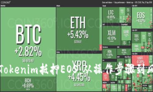 如何处理未赎回的Tokenim抵押EOS：从操作步骤到风险管理的全面指南