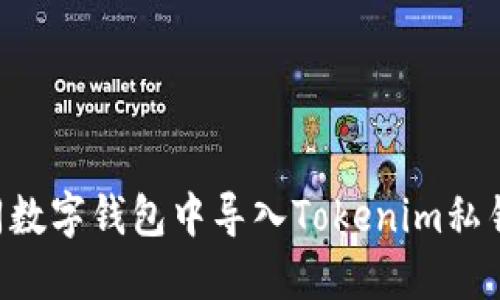 如何在不同数字钱包中导入Tokenim私钥：详细指南