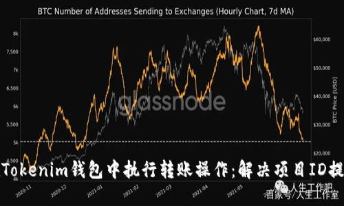 如何在Tokenim钱包中执行转账操作：解决项目ID提示问题