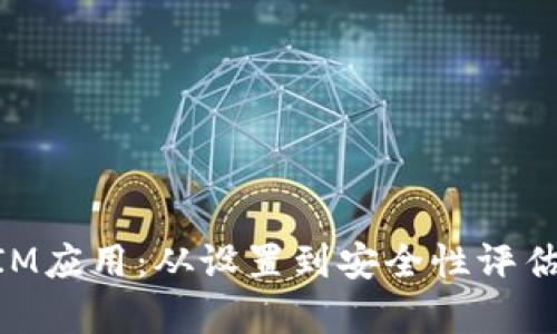 全面解析TokenIM应用：从设置到安全性评估的详细测评指南