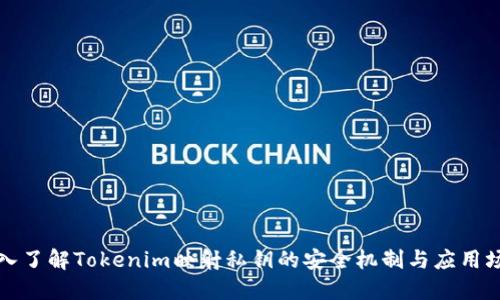 深入了解Tokenim映射私钥的安全机制与应用场景