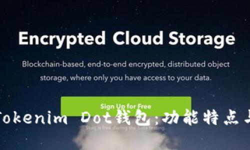 全面解读Tokenim Dot钱包：功能特点与使用指南