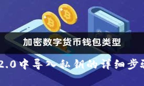 在Tokenim 2.0中导入私钥的详细步骤与注意事项