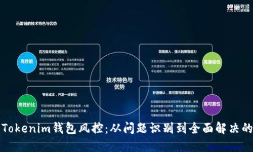 破解Tokenim钱包风控：从问题识别到全面解决的指引