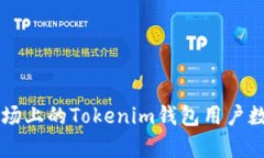 中国市场上的Tokenim钱包用户数量分析