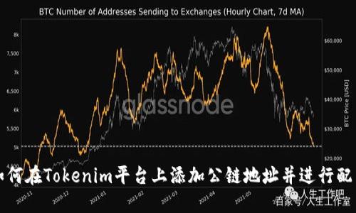 如何在Tokenim平台上添加公链地址并进行配置