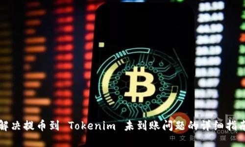 解决提币到 Tokenim 未到账问题的详细指南