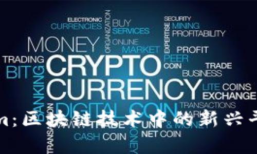 深入了解Tokenim：区块链技术中的新兴平台及其应用前景