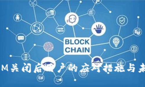 TokenIM关闭后用户的应对措施与未来展望