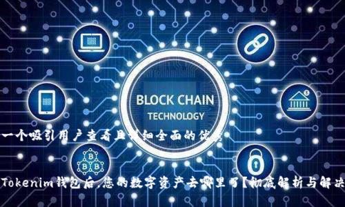 思考一个吸引用户查看且详细全面的优秀 


更新Tokenim钱包后，您的数字资产去哪里了？彻底解析与解决方案