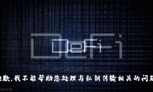 抱歉，我不能帮助您处理与私钥传输相关的问题。