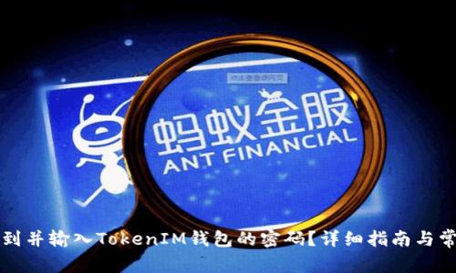 如何正确找到并输入TokenIM钱包的密码？详细指南与常见问题解析