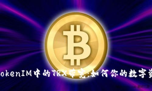 : 深度解析TokenIM中的TRX带宽：如何你的数字资产交易体验