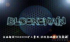 全面解析TOKENIM矿工费用：快慢影响因素及策略