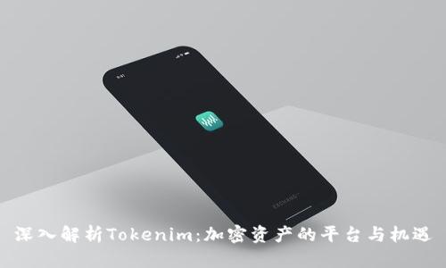 深入解析Tokenim：加密资产的平台与机遇