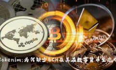 深入探究Tokenim：为何缺少BCH及其在数字货币生态
