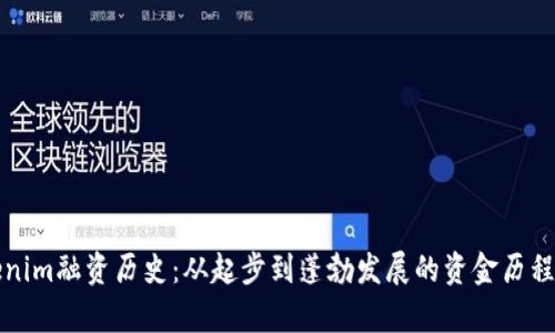 Tokenim融资历史：从起步到蓬勃发展的资金历程分析