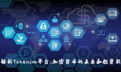 全面解析Tokenim平台：加密货币的未来和投资新机