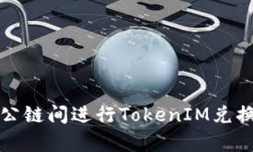 全面解析：如何在不同公链间进行TokenIM兑换，构建跨链交易的未来