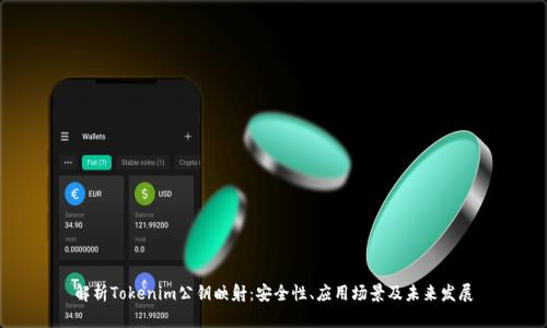解析Tokenim公钥映射：安全性、应用场景及未来发展