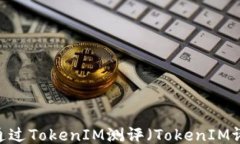 深入探讨：如何通过TokenIM测评（TokenIM评估技巧与